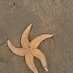 Zeezicht Noordwijk
