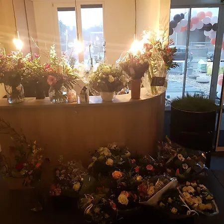 Aparthotel Zeezicht 4*