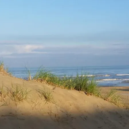 Zeezicht 公寓式酒店 4*