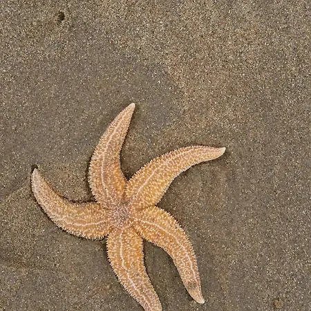 Zeezicht Noordwijk
